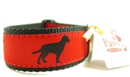Black Labrador Ribbon Dog Collars