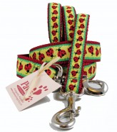Red Ladybugs on Yellow Dog Leashes