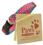 White Dot on Hot Pink with Teal Web Cat Collars