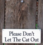 Please Don't Let Cat Out Wood Signs