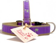 Green (on purple) Palm Tree Dog Collars