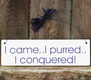 I Came, I Purred, I Conquered hand-painted Cat Signs
