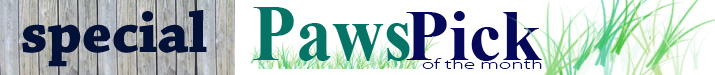 banner-pawspick.jpg