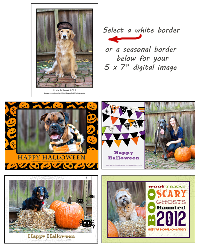 click-treatborder-group.jpg click-treatborder-group.jpg