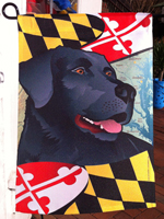 Lab Maryland Flags
