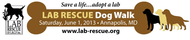 labwalk-header2013f.jpg