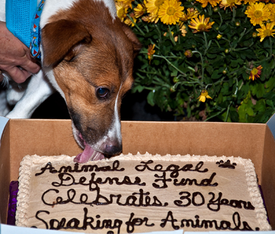 april2010spca.jpg