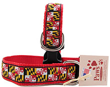 Maryland Flag Dog Collar