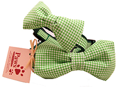 Green Bow-tie Dog Collars Made in USA