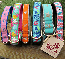 Beach Dog Collars at PawsPetBoutique.com