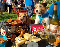 Sit, Stay, Drink Cocktail Napkins for Dog Lovers and Other Entertaining Ideas