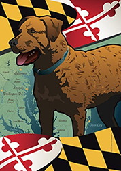 Maryland Dog Flag with Chesapeake Bay Retriever