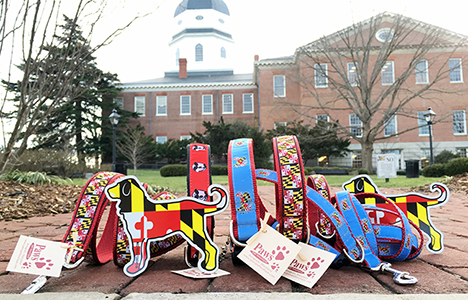 Maryland State Capital and Maryland Dog Supplies